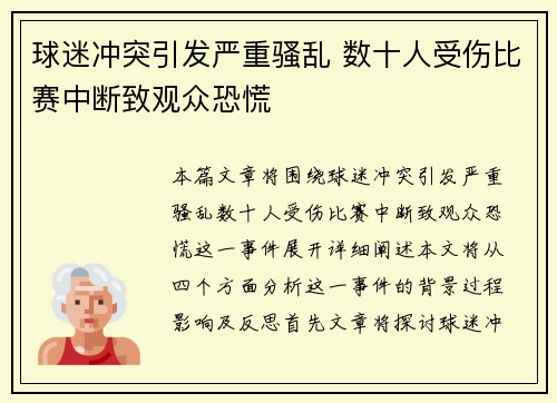 球迷冲突引发严重骚乱 数十人受伤比赛中断致观众恐慌