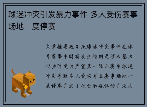 球迷冲突引发暴力事件 多人受伤赛事场地一度停赛