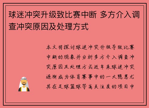球迷冲突升级致比赛中断 多方介入调查冲突原因及处理方式